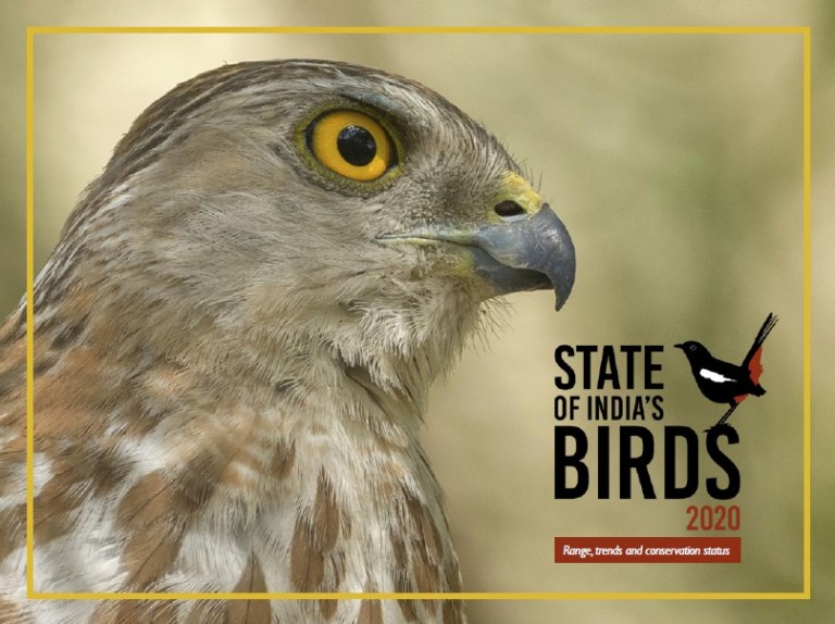 State Of India S Birds Report Released By